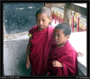 Thikse (2)